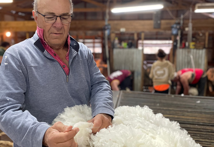 AWI Chairman Jock Laurie inspects fleece in a shearing shed